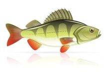 अग्नाशयशोथ के लिए समुद्री भोजन